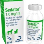 sedator buy store