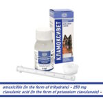 amoxicillin clavulanic acid Clamovet