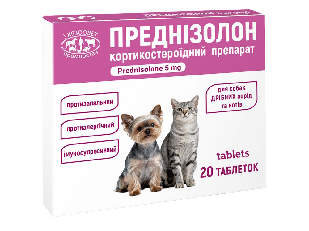 prednisolone prednisolone